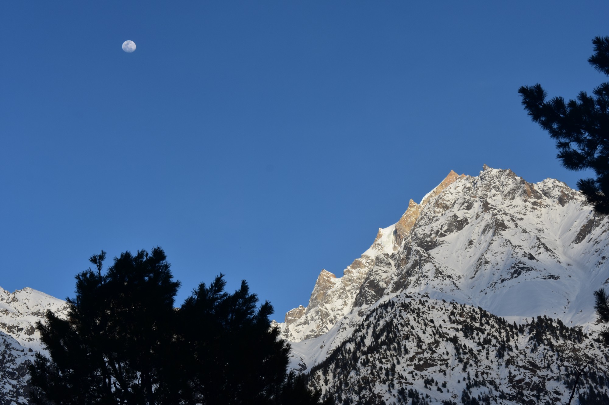 Sunlit Kinnaur Kailash peak and moon